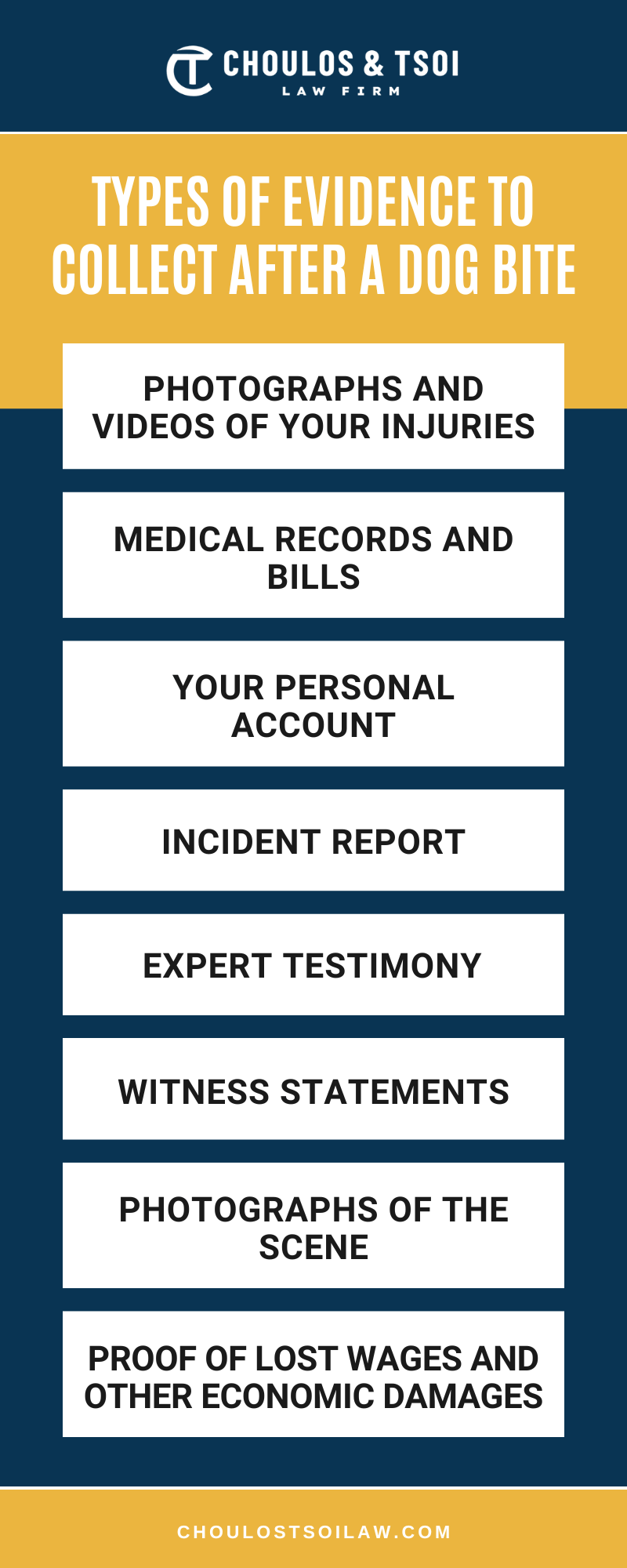 Types Of Evidence To Collect After A Dog Bite Infographic